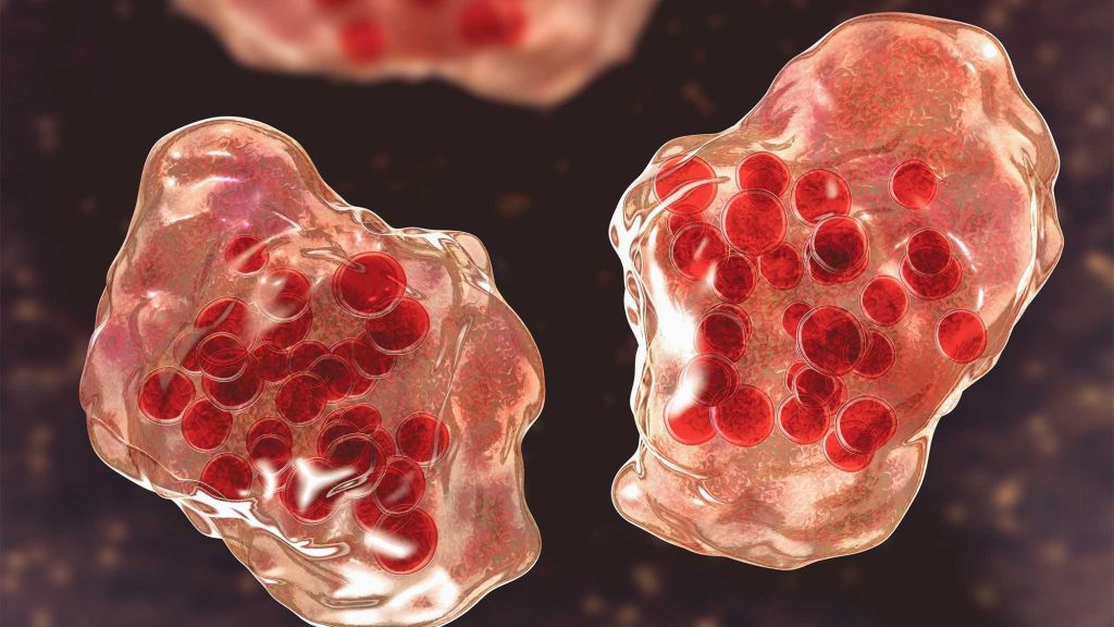 Maryland Department of Health declares measles outbreak in 3 counties with 14 new confirmed cases