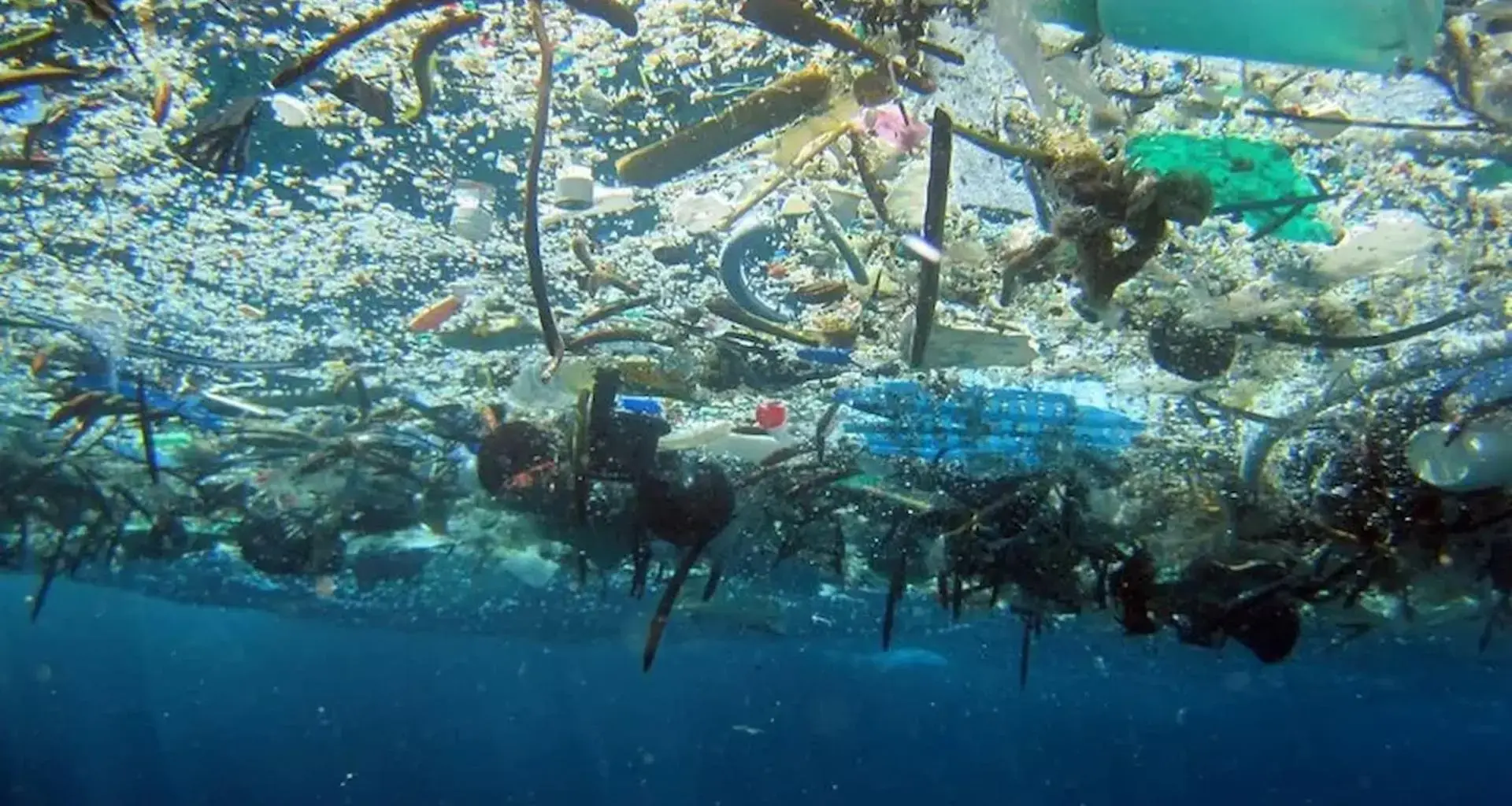 Plastic pollution