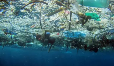 Plastic pollution