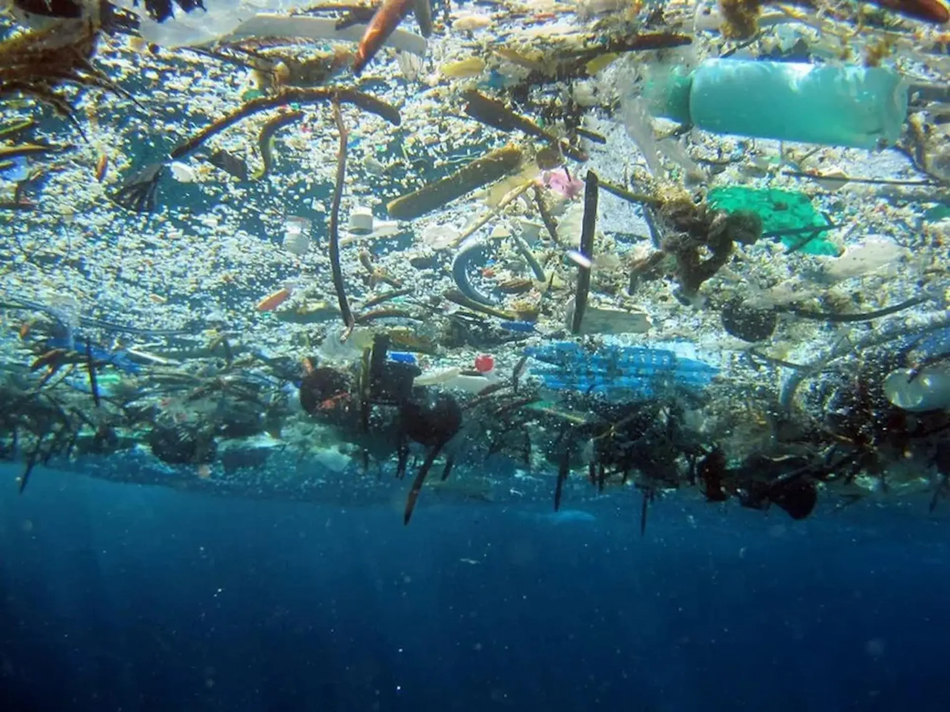 Plastic pollution