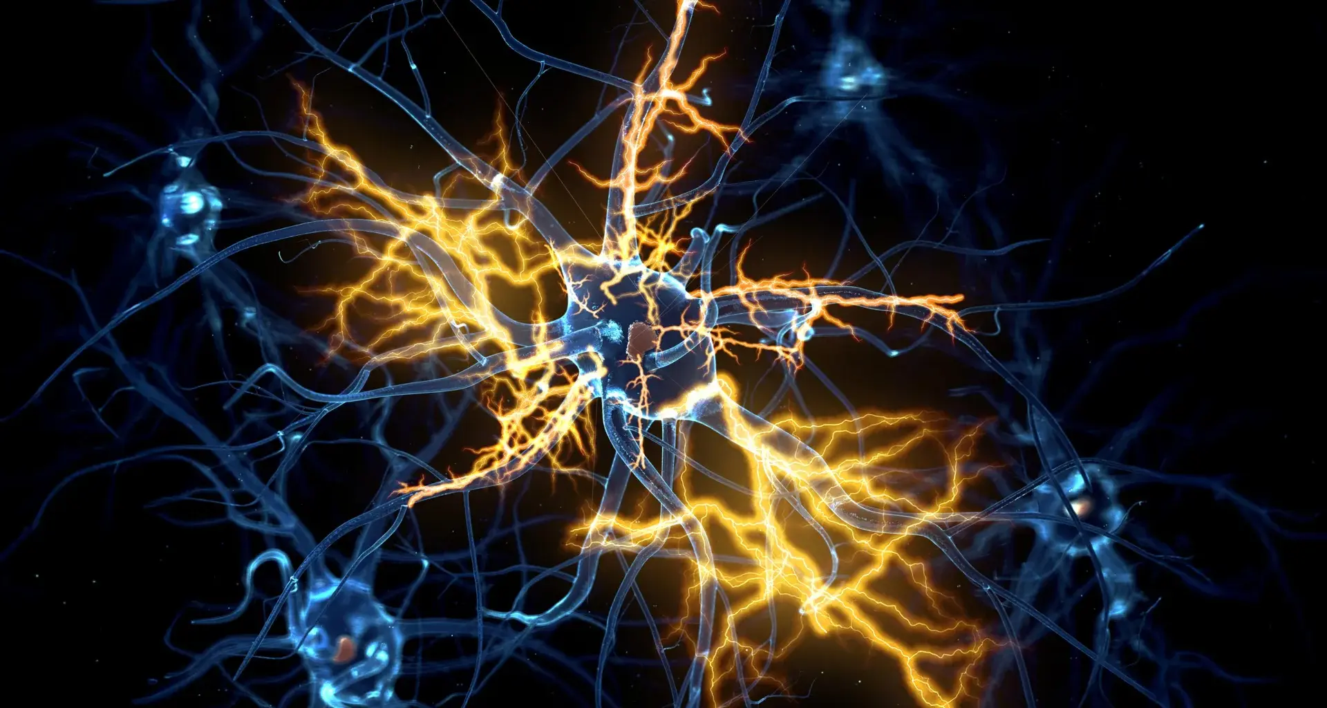 Scientists discover why damaged nerves struggle to heal