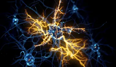 Scientists discover why damaged nerves struggle to heal