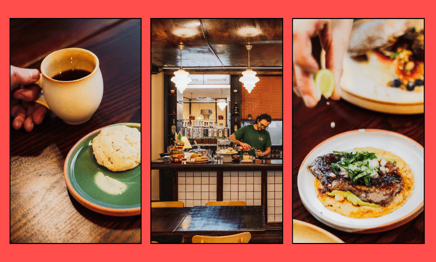 New and approved: Apapacho, Wellington