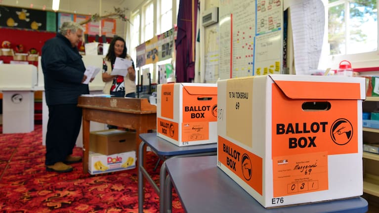 Ballot boxes (file image).