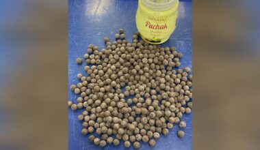 Three charged after Customs busts 24kg opium smuggling attempt