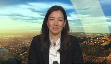 What are the Opportunity party's land tax and 'citizen's income'?