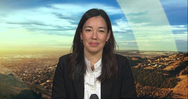 What are the Opportunity party's land tax and 'citizen's income'?