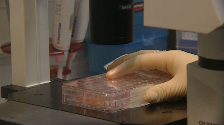 Over half of New Zealand health professionals report patients often putting off or declining genetic testing due to insurance fears.