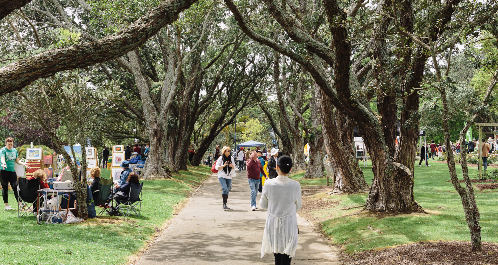 Parnell, Auckland: A Guide to New Zealand's Thriving Suburb