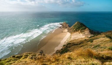 Earth has had eight continents all along — the one missing from every map and school textbook is nearly twice the size of India, 94 percent underwater, and has been quietly sitting beneath the South Pacific for 85 million years