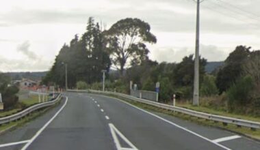 Gang member allegedly stole car, drove on wrong side of road for 5km