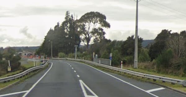 Gang member allegedly stole car, drove on wrong side of road for 5km