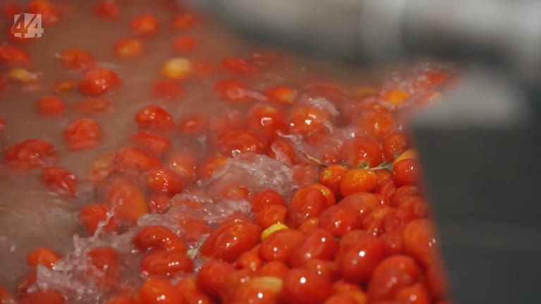 Processed tomatoes raised the most concern, in the investigation, with one in four failing forensic country of origin testing.