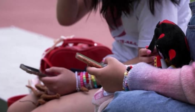 Govt says no time for social media bill after Labour backs it