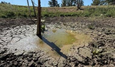 Droughts fuel spread of infectious diseases • healthcare-in-europe.com