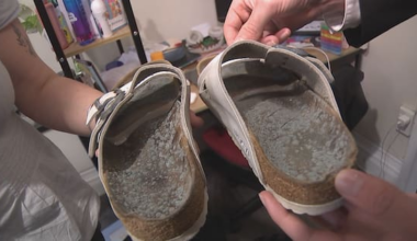 Mould growing on shoes raises questions over Healthy Homes compliance