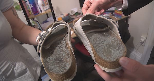 Mould growing on shoes raises questions over Healthy Homes compliance