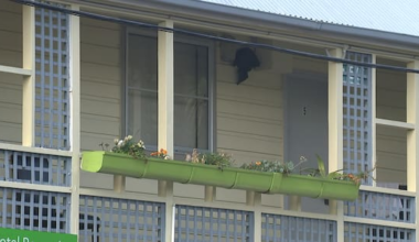 MSD drops emergency housing reduction target from manager KPIs