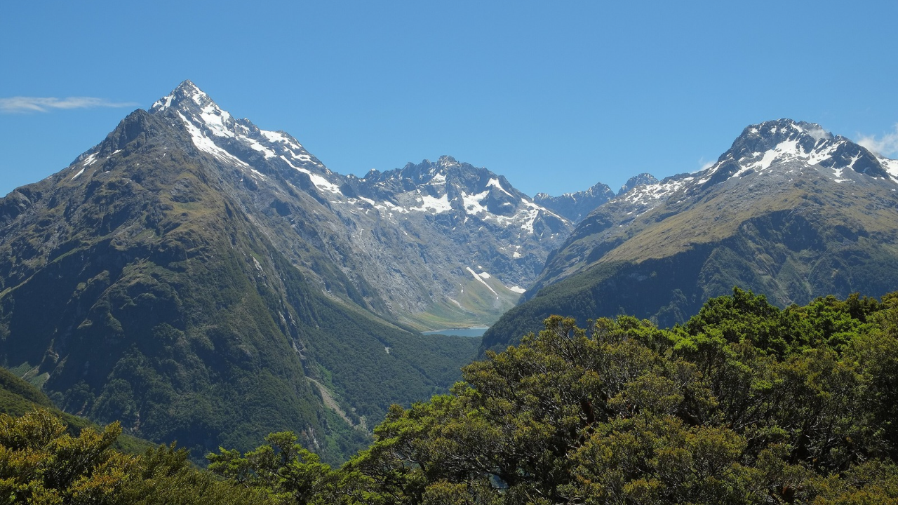 Fiordland, New Zealand | Wikimedia Commons roosevelt (1)