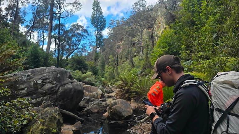 Searchers in the rugged bushland of the Nattai National Park.
