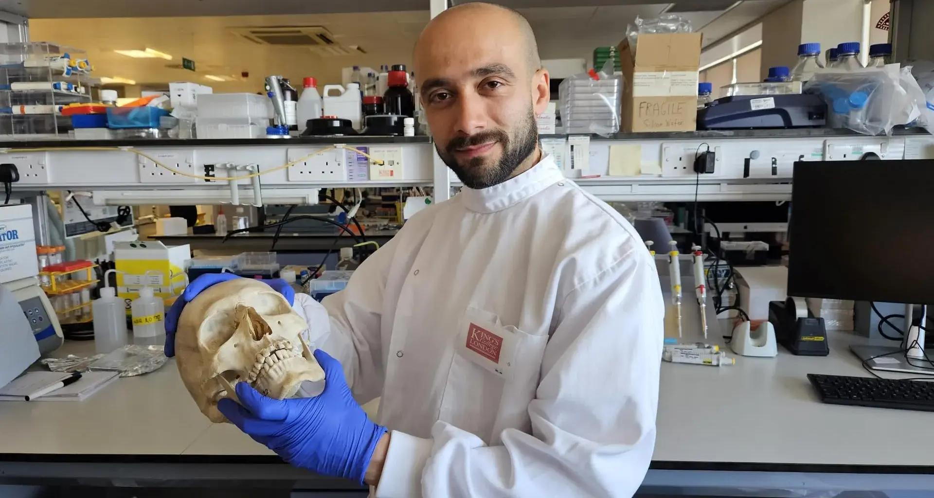Scientists turn sheep’s wool into a material that helps regrow bone