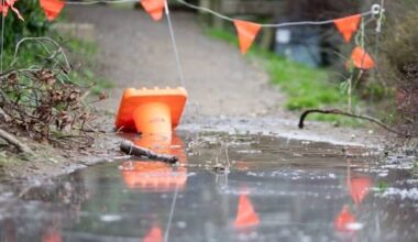 'My heart went into my throat': Dog falls into Porirua sinkhole