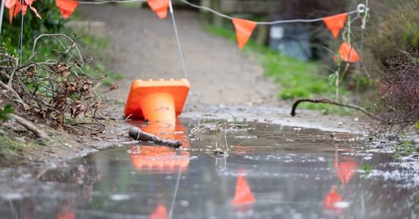 'My heart went into my throat': Dog falls into Porirua sinkhole