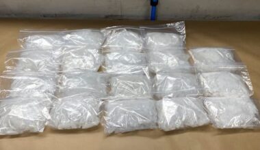 US woman jailed for trying to smuggle 18kg of meth into NZ