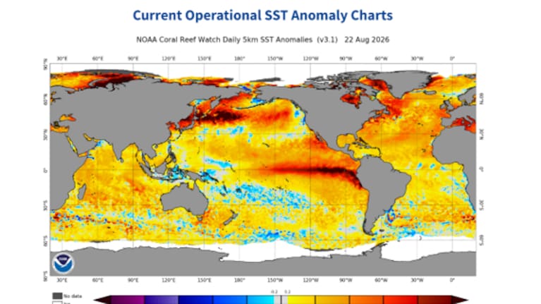Sea temperatures are well above normal.