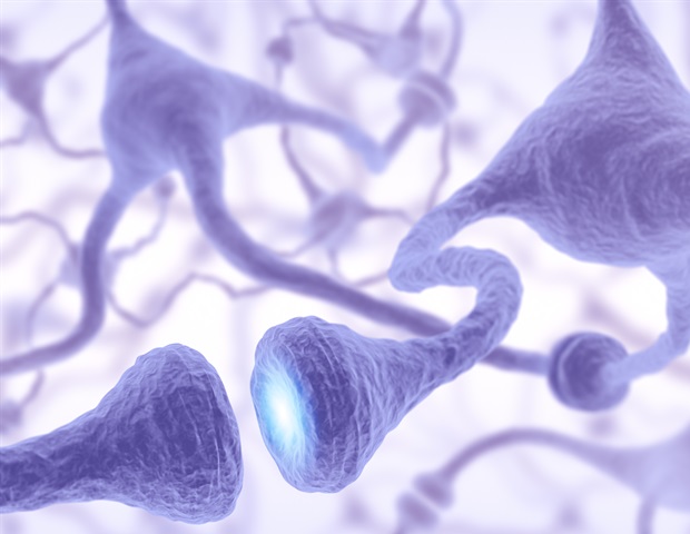 Salk researchers isolate specific neurons controlling complex social behaviors