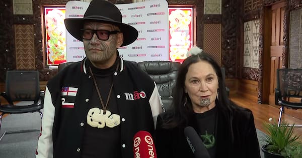 Te Pāti Māori reveals election strategy as campaign launches in Gisborne