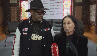 Te Pāti Māori launches new tax policy, says most would pay less