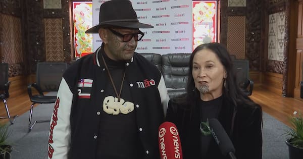 Te Pāti Māori launches new tax policy, says most would pay less