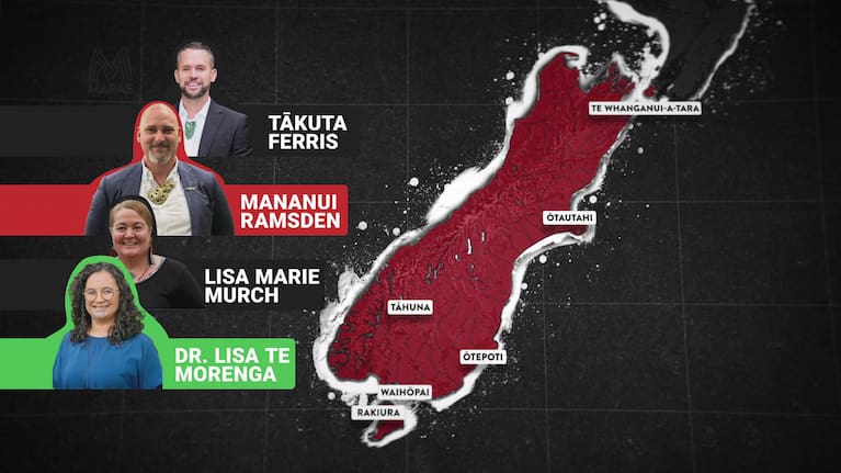 Te Tai Tonga electorate and candidates.