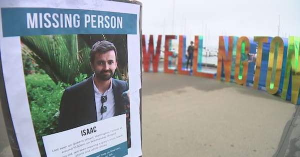 CCTV shown at inquest into death of man who fell in Wellington Harbour