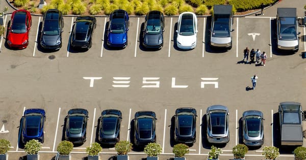 Tesla recalls millions of cars in China over door handle safety risks
