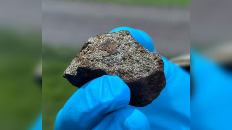 The 40g mateorite fragment, with thin crust and pale interior. Source: Bruce Charlier via Fireballs Aotearoa