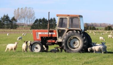 Farms in the sight of buyers as thousands of farmers approach retirement