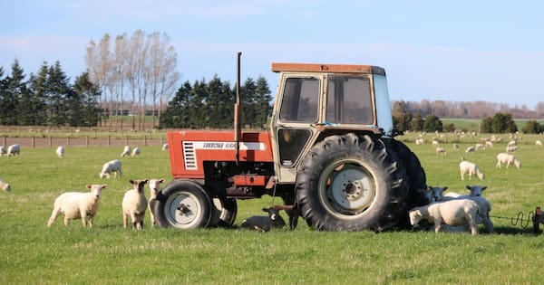 Farms in the sight of buyers as thousands of farmers approach retirement
