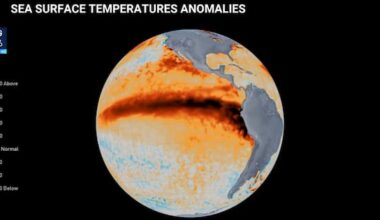 'Pretty unusual': Graphic highlights El Niño's rapid intensification