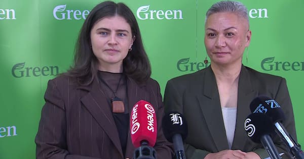 Greens propose fines for supermarkets charging 'excessive' prices