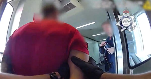 Aus traveller assaulted cabin crew, punched man in face on flight