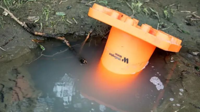 The Porirua sinkhole being just under a metre deep.