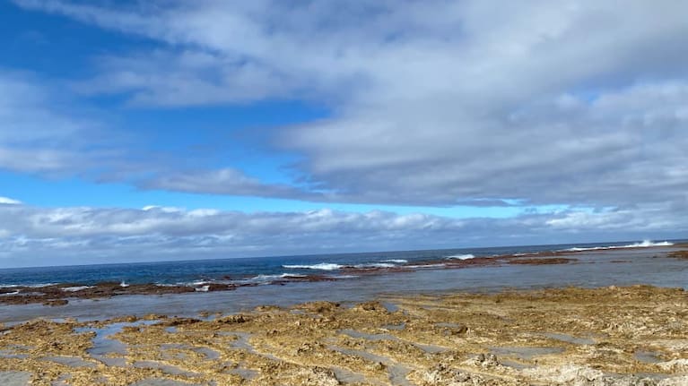 The shoreline in Mitiaro, the Cook Islands