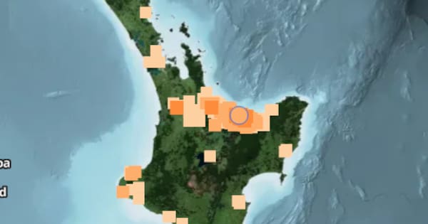 'That was a big shake': 4.1 magnitude quake rattles eastern Bay of Plenty