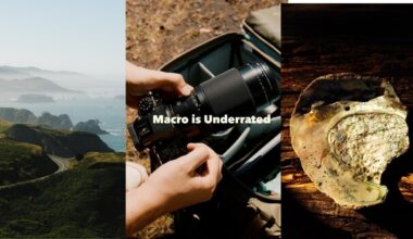 Fujifilm GF 120mm Macro: More Than Close-Ups