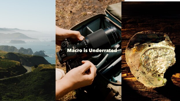 Fujifilm GF 120mm Macro: More Than Close-Ups