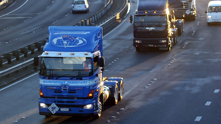 Ferry limitations could mean freight companies rely on trucks, which would face their own issues on-land.