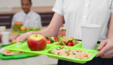 Average packed school lunch is now over $6: How to pack a healthy lunch for less