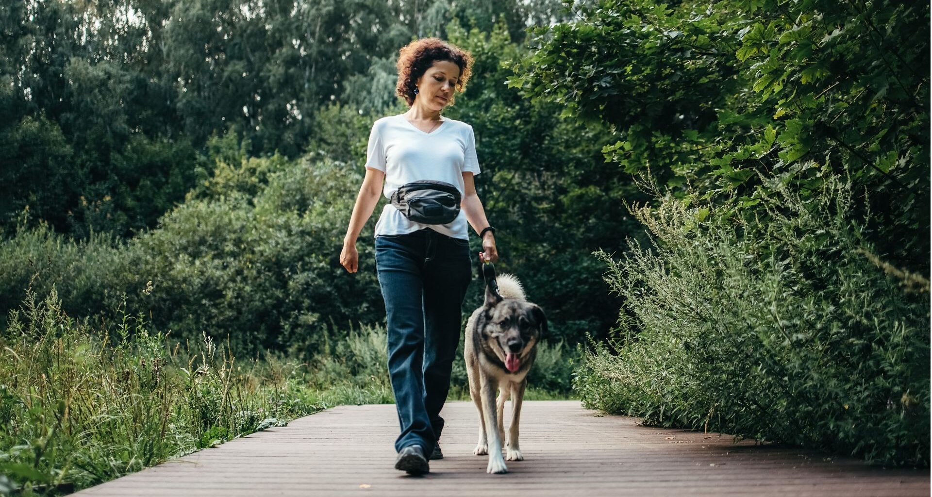 Woman walking dog with lead in forest